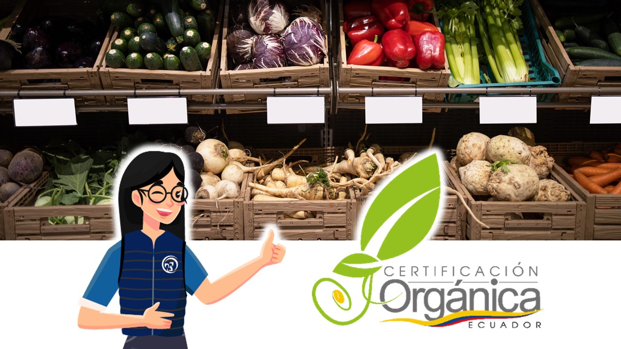  Curso de la Normativa Orgánica del Ecuador 2da. Edición 2026